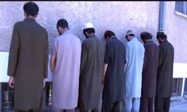امنیت‌ملی  هفت عضو شبکه حقانی را در پکتیا بازداشت کرد